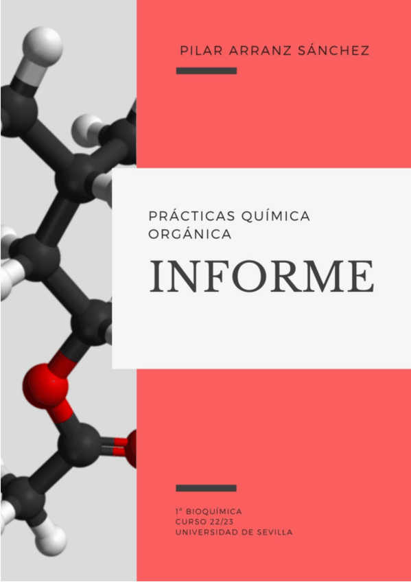 Miniatura del documento informe-practicas.pdf