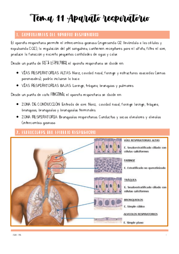 Miniatura del documento Tema-11-Aparato-respiratorio.pdf