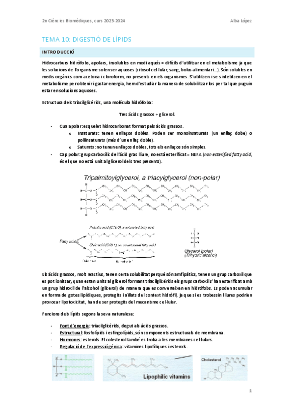 Miniatura del documento Tema-10.-Digestio-de-lipids.pdf