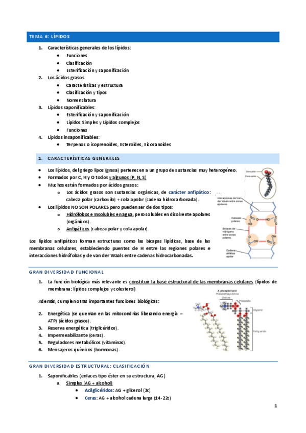 Miniatura del documento Tema-6.pdf