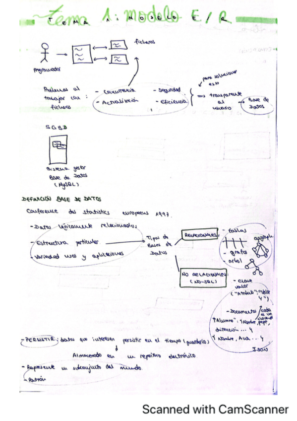 Miniatura del documento TEMA-1-BASES-DE-DATOS.pdf