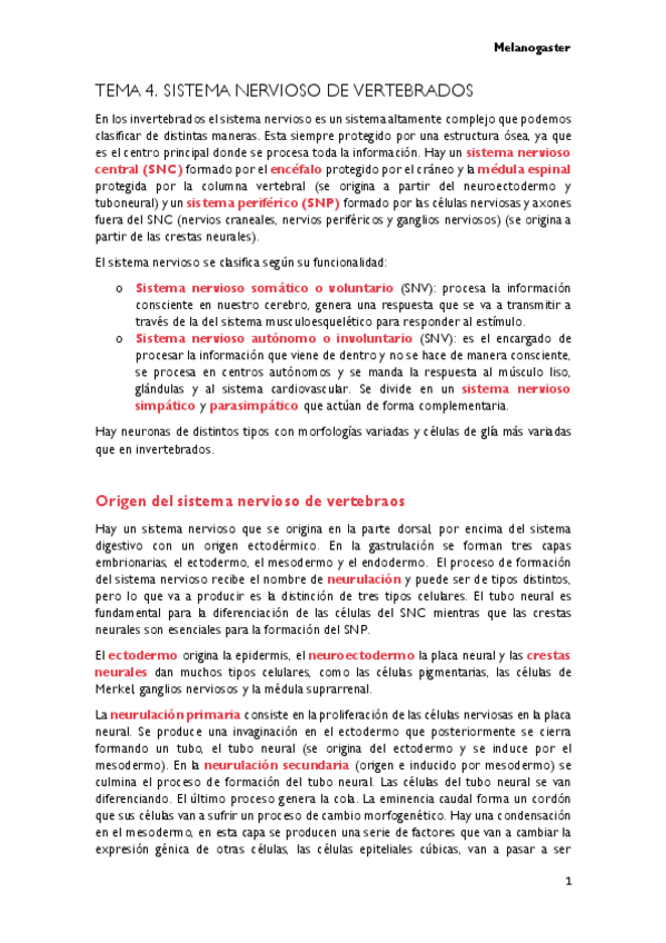 Miniatura del documento TEMA-4.-SISTEMA-NERVIOSO-DE-VERTEBRADOS.pdf