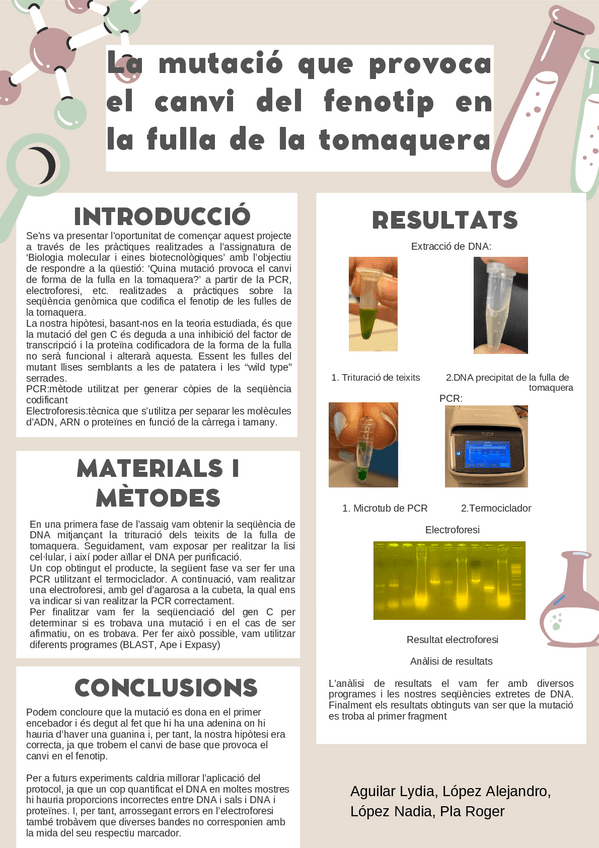 Miniatura del documento poster.pdf