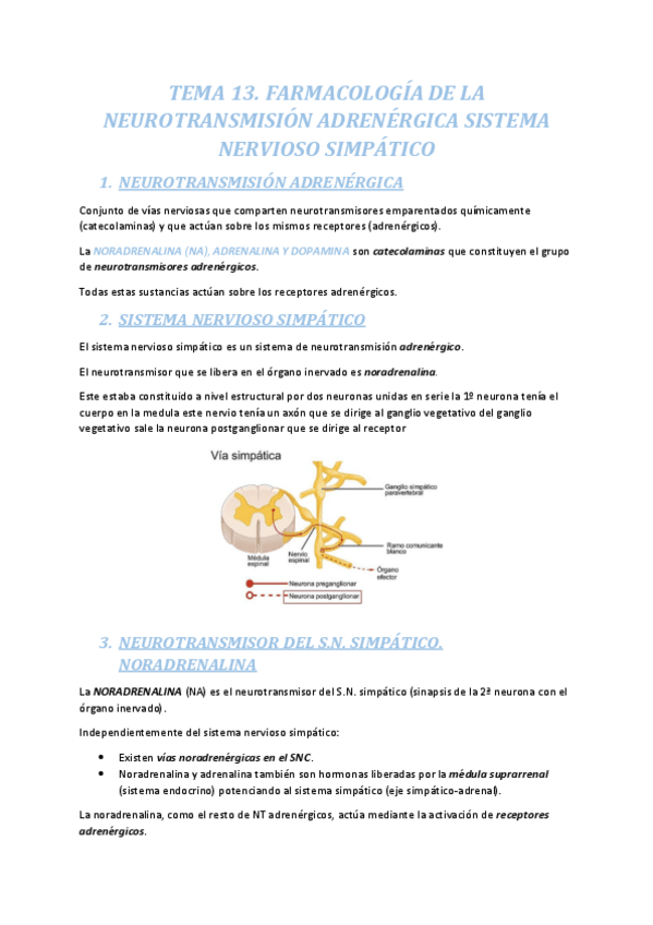 Miniatura del documento TEMA-13.-FARMACOLOGIA-DE-LA-NEUROTRANSMISION-ADRENERGICA-SISTEMA-NERVIOSO-SIMPATICO.pdf