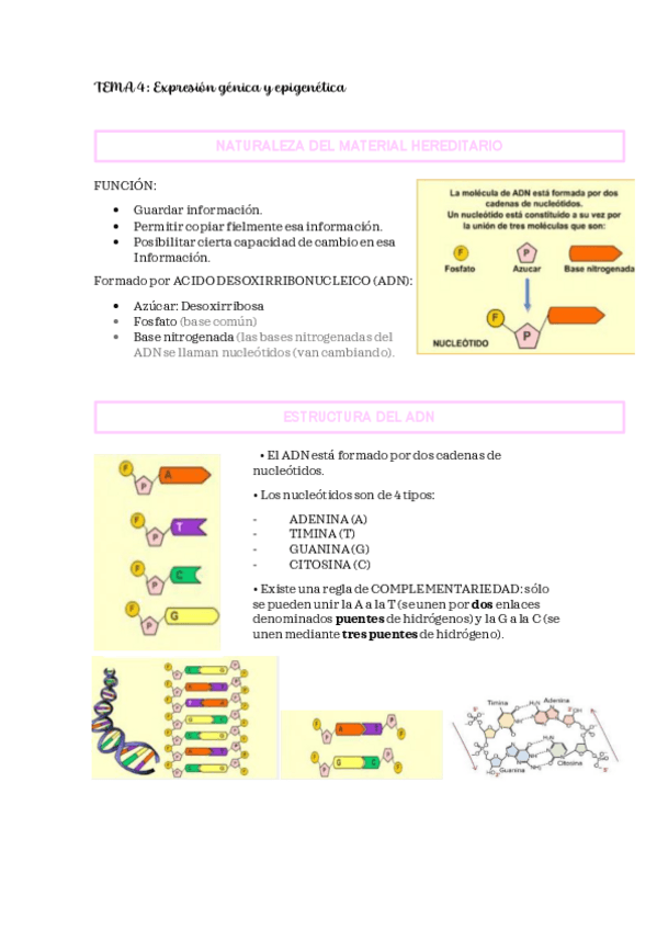Miniatura del documento PSICOBIO-TEMA-4.pdf