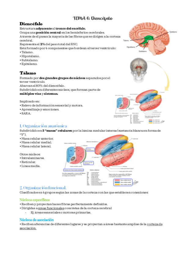 Miniatura del documento PSICOBIOLOGIA-II-TEMA-6.pdf