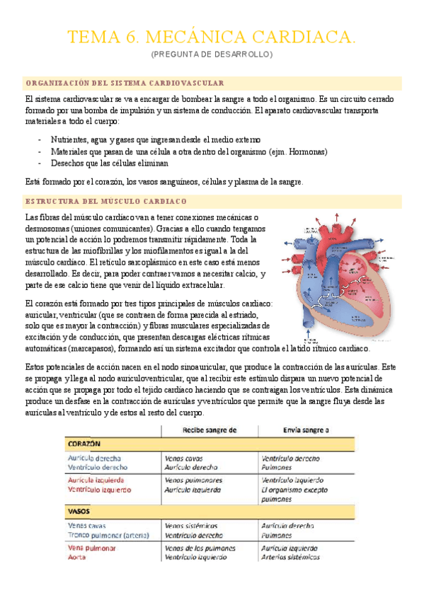Miniatura del documento APUNTES-6-10-FISIO.pdf