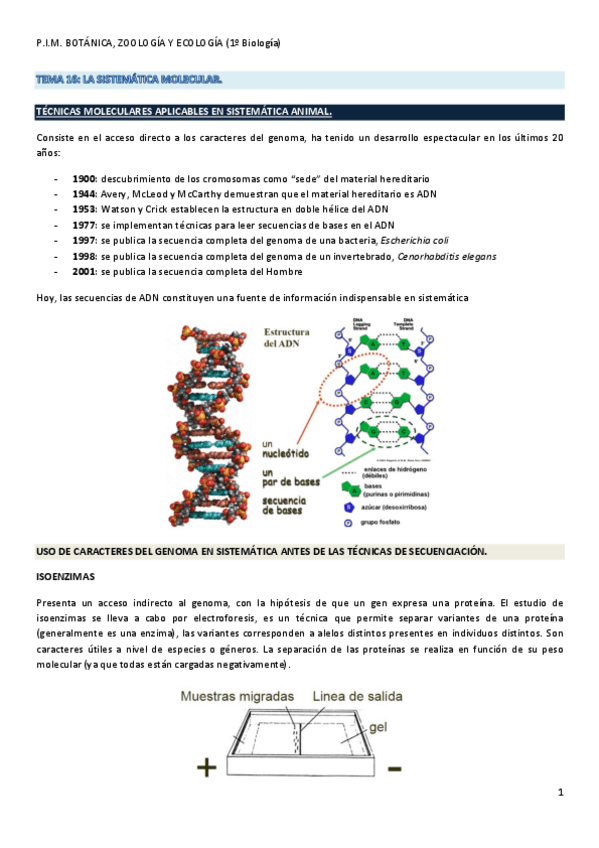Miniatura del documento Tema 16. La Sistemática Molecular..pdf