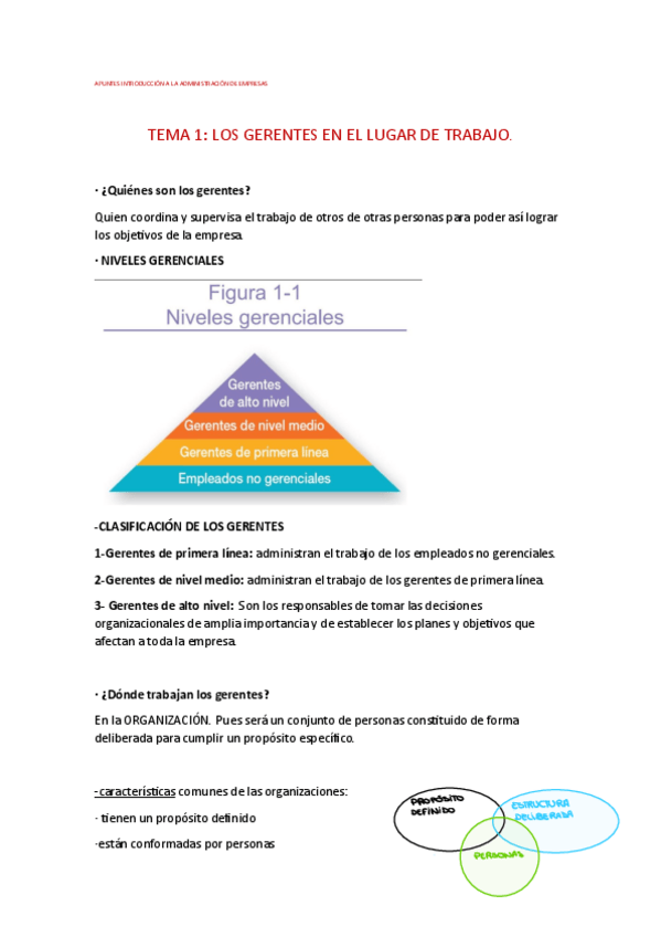 Miniatura del documento APUNTES-IAE-tema-1-buenos.pdf