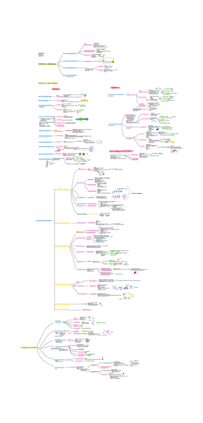 Miniatura del documento BIODIVERSIDAD-tema-12.pdf