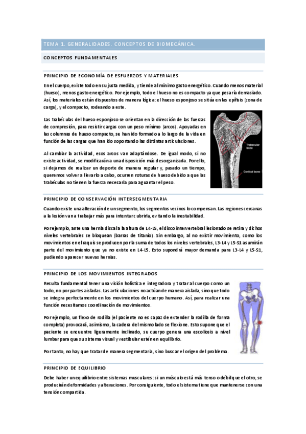 Miniatura del documento Temario-completo.pdf