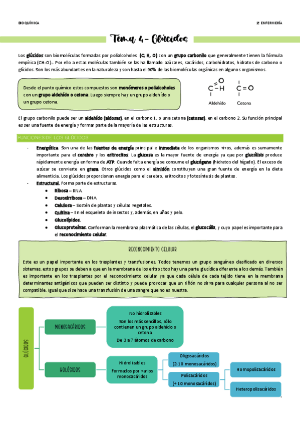 Miniatura del documento Tema-4-Glucidos.pdf