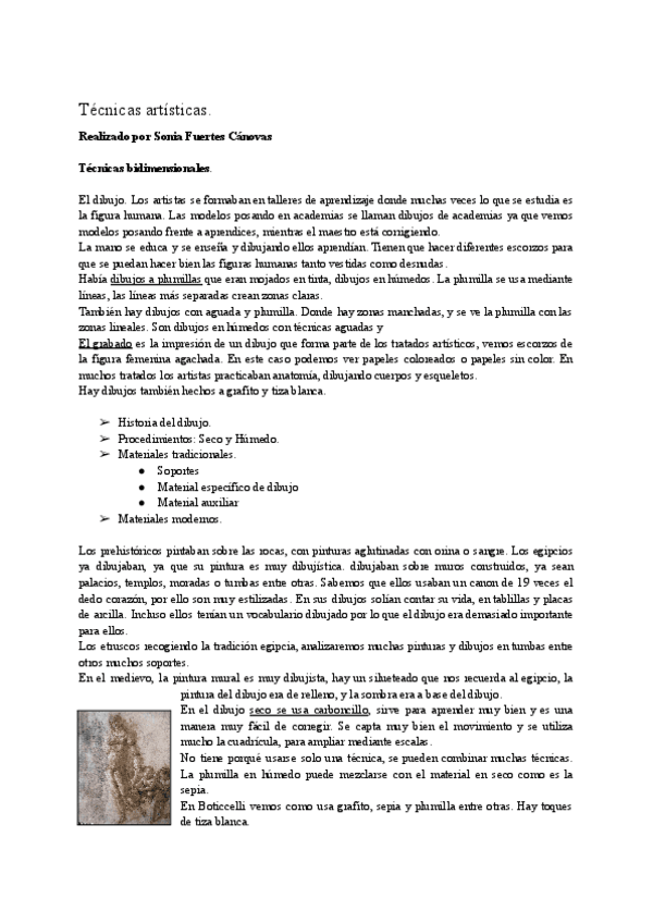 Miniatura del documento tecnicas-artisticas.pdf