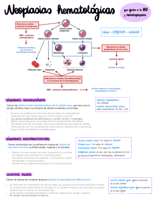 Miniatura del documento Neoplasias-hematologicas.pdf