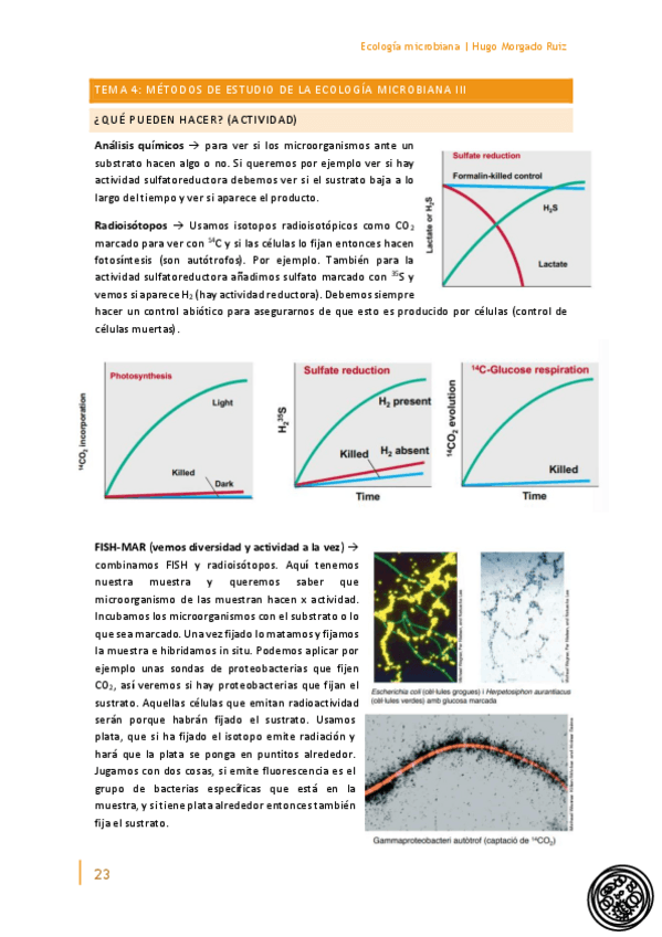 Miniatura del documento Ecologia-microbiana-Tema-4.pdf