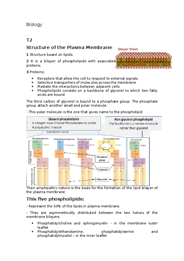 Miniatura del documento bio-tema-2-entero-primer-cuatri.odt