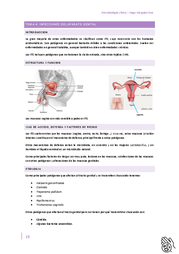 Miniatura del documento Microbiologia-clinica-Tema-4.pdf