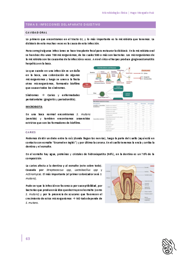 Miniatura del documento Microbiologia-clinica-Tema-8.pdf