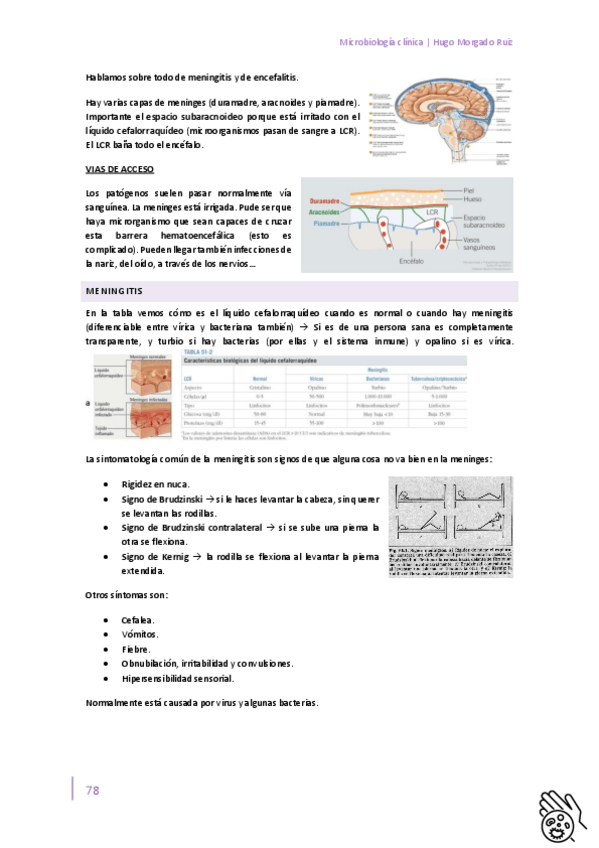 Miniatura del documento Microbiologia-clinica-Tema-9.pdf