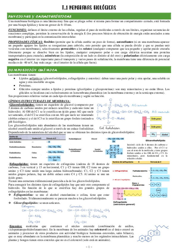 Miniatura del documento 1-Membranas-biologicas.pdf