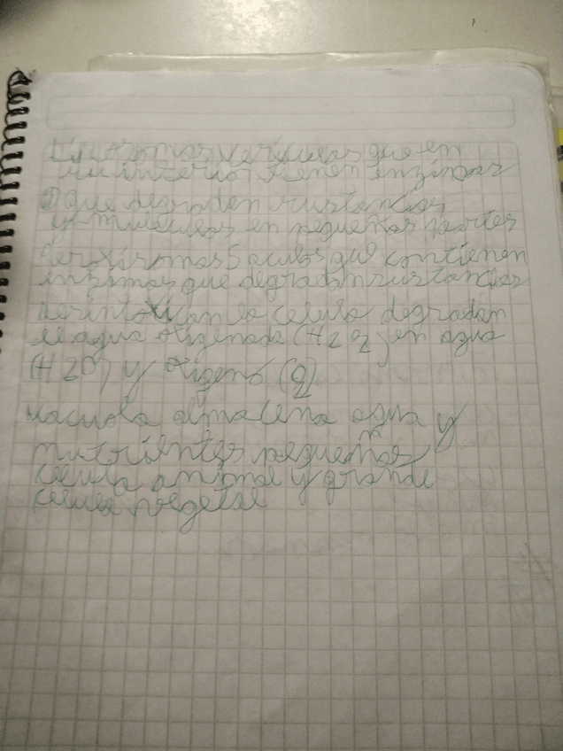 Miniatura del documento 16985322025286505160583352384918.jpg