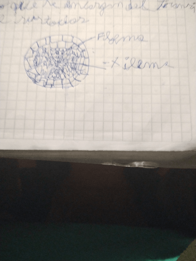 Miniatura del documento 16985324092975512888069739122142.jpg