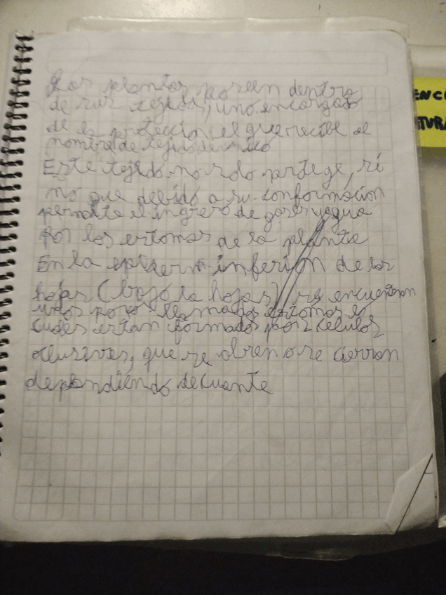 Miniatura del documento 16985324462175662595210442021693.jpg