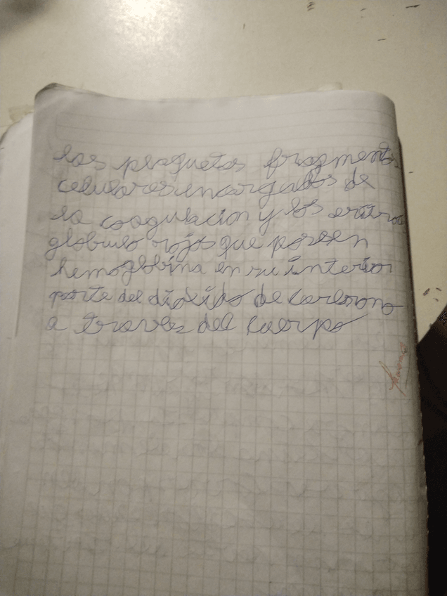 Miniatura del documento 16985324875962827587223031754417.jpg