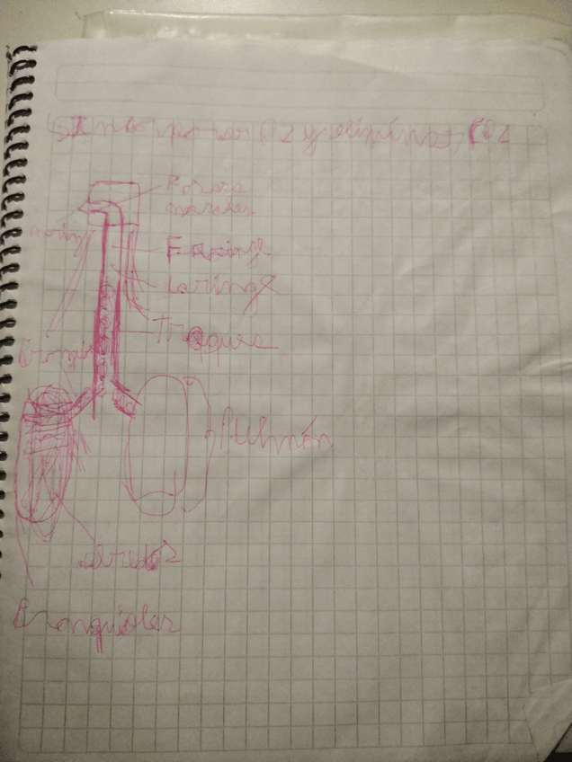 Miniatura del documento 16985325582841716941570665964247.jpg