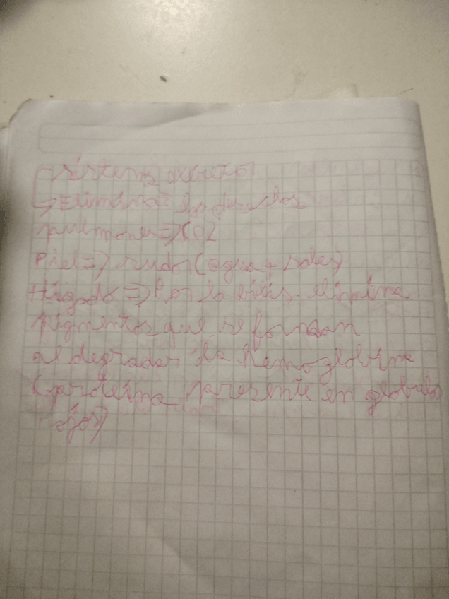 Miniatura del documento 16985325881872697899985322767009.jpg