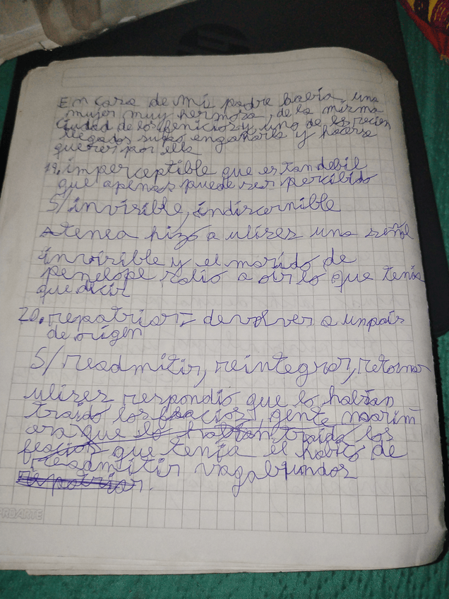 Miniatura del documento 16985368571116745061820702949366.jpg