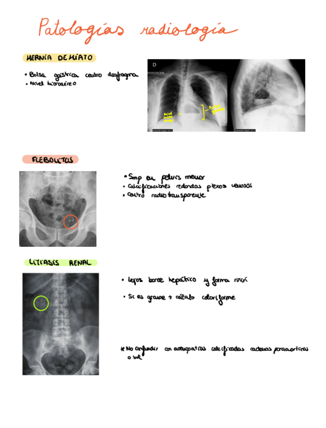 Miniatura del documento Como-identificar-las-patologias.pdf