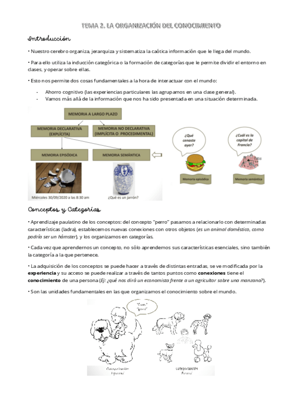 Miniatura del documento T2-PENSAMIENTO-La-organizacion-del-conocimiento.pdf