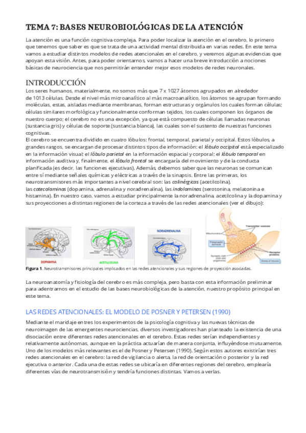 Miniatura del documento ATENCION-TEMA-78.pdf