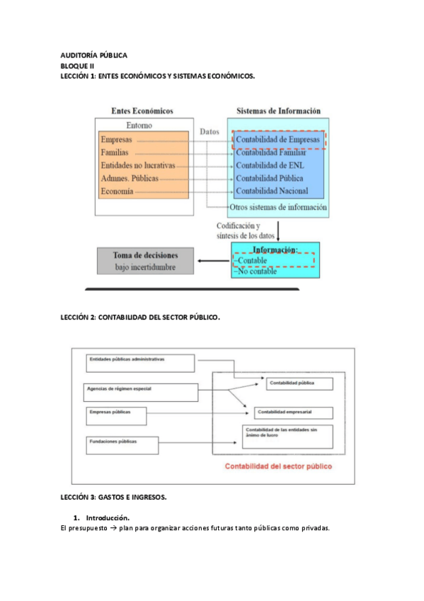 Miniatura del documento AUDITORIA-PUBLICA-bloque-II.pdf