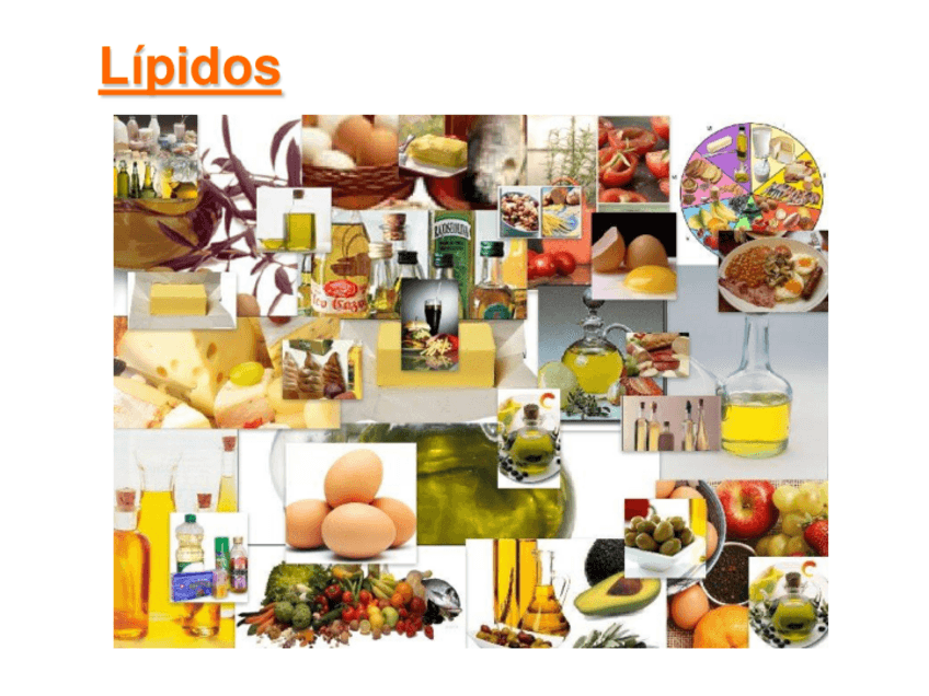 Miniatura del documento Tema-5-Lipidos.pdf