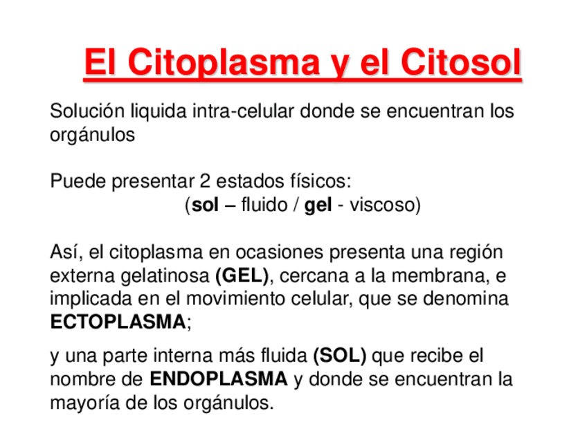 Miniatura del documento Tema-6-El-Citoplasma-citoesqueleto-vacuolas-y-vesiculas.pdf