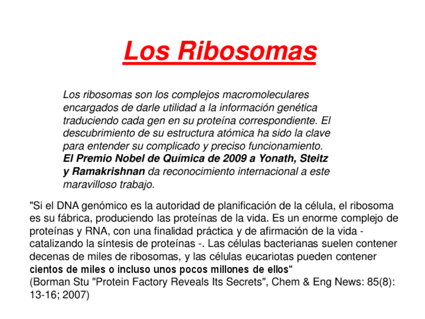 Miniatura del documento Tema-7-Ribosomas-y-Sintesis-Proteica.pdf