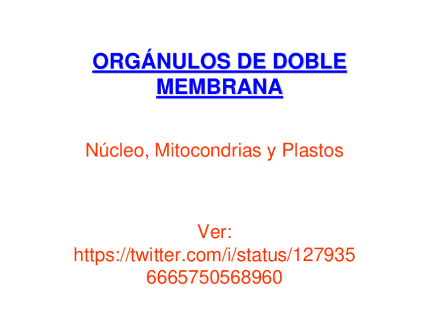 Miniatura del documento Tema-8-ORGANULOS-DE-DOBLE-MEMBRANA.pdf