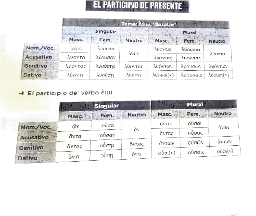 Miniatura del documento griego-el-participio-de-presente.pdf