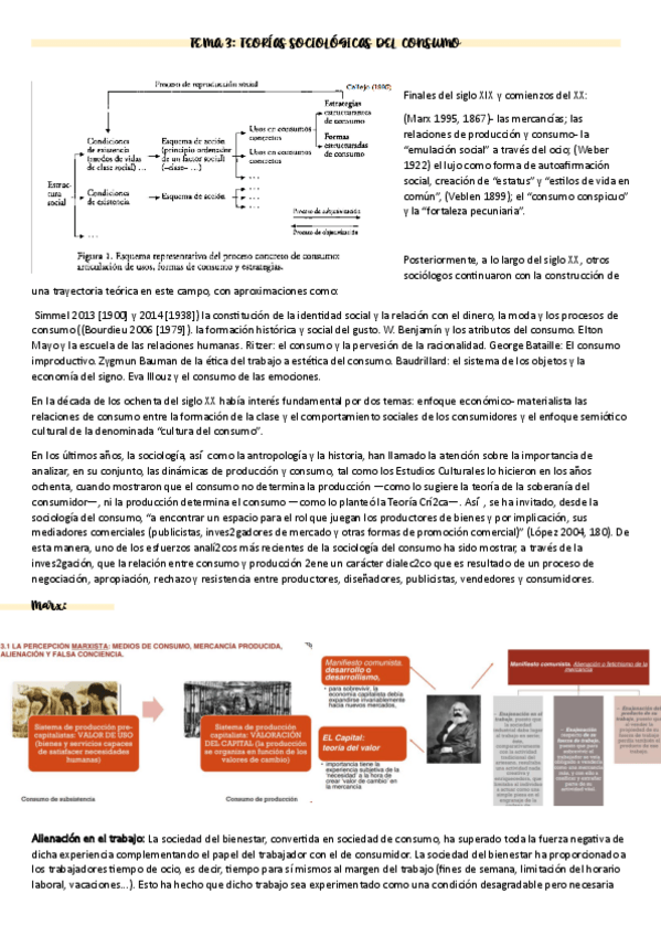 Miniatura del documento sociologia-del-consumo-tema-3.pdf