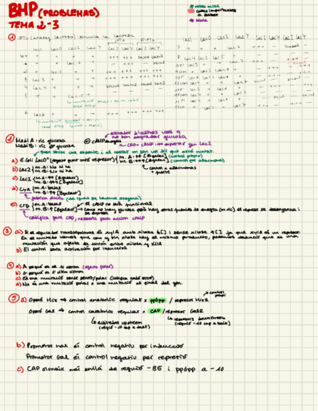 Miniatura del documento PROBLEMAS-2.pdf
