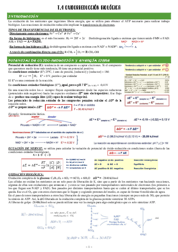Miniatura del documento 4-Oxidorreduccion-biologica.pdf