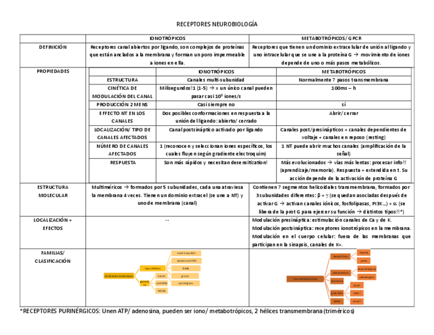 Miniatura del documento esquema-RECEPTORES-NEUROBIOLOGIA.pdf