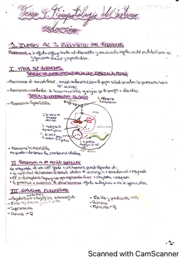 Miniatura del documento T.4.pdf