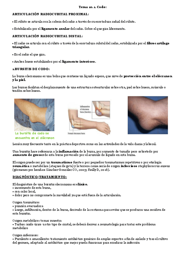 Miniatura del documento 10.1-Codo.pdf