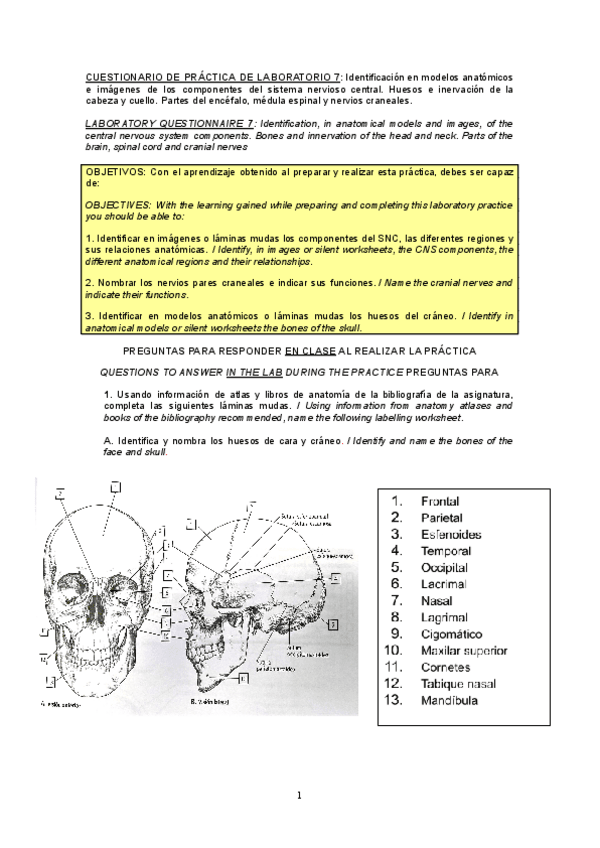 Miniatura del documento PL7-Cuestionario.docx.pdf