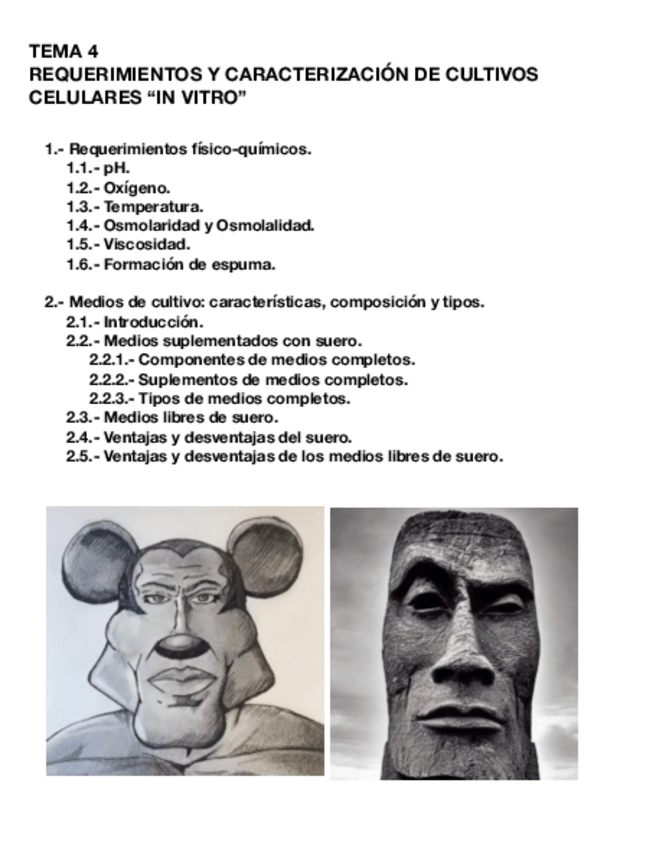 Miniatura del documento Tema-4-CULT.pdf