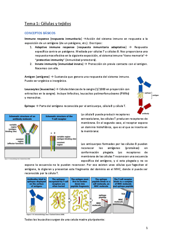 Miniatura del documento Inmunologia-1er-parcial.pdf