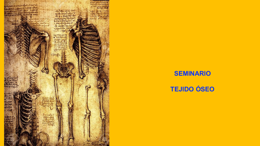 Miniatura del documento 2022SEMINARIOtejidoOseo2022-23.pdf